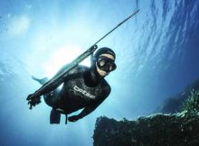Cómo mejorar tu técnica de pesca submarina con el arpón hawaiano