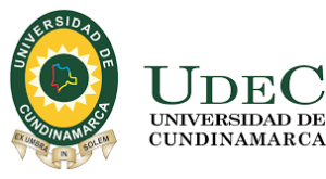 niversidad de Cundinamarca: Excelencia Académica y Oportunidades Educativas
