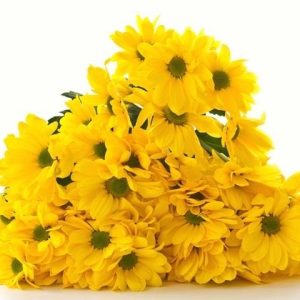 ¿Cuál es el significado de las flores amarillas?